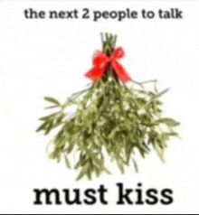 a picture of mistletoe with a red bow and the words must kiss