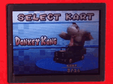 Dk Donkey Kong GIF