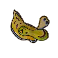 a drawing of a frog with the letter s on its head