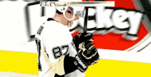 Sidney Crosby Pittsburgh Penguins GIF - Sidney Crosby Pittsburgh Penguins Pens Goal GIFs