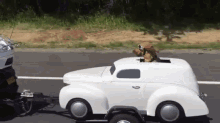 Custom Dog Car GIF - Motorcycle Sidecar Pets GIFs