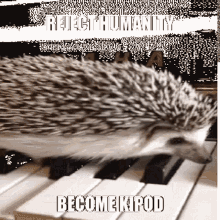 Reject Humanity Become Kipod Kipod GIF - Reject Humanity Become Kipod Kipod Reject Humanity GIFs