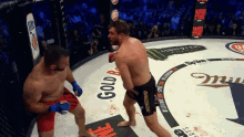 Knock Out Punch GIF - Bellator Mma Mitrione GIFs