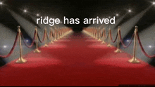 Ridge Musicord GIF - Ridge Musicord Red Carpet GIFs