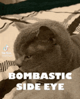 Bombastic Side Eye GIF - Bombastic Side Eye Bombastic Side GIFs