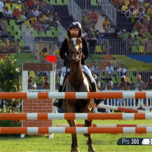 Jump Over The Obstacle Olympics GIF - Jump Over The Obstacle Olympics Successful Jump GIFs