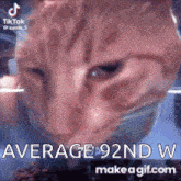 92nd 92nd Cat GIF - 92nd 92nd Cat Gordon Highlanded GIFs
