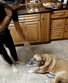 a woman is standing next to a dog that is laying on the floor