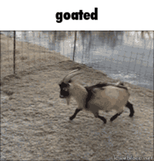 Goated Slide GIF - Goated Slide Ice GIFs
