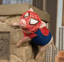 Spiderman Pig GIF - Spiderman Pig GIFs