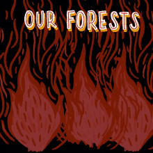 Our Forests Are Burning I Will Vote GIF