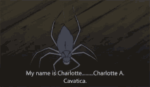Charlotte My Name Is Charlotte GIF - Charlotte My Name Is Charlotte Charlottes Web GIFs