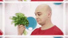 Danyel Vegetable GIF - Danyel Vegetable Large Red Pepper GIFs