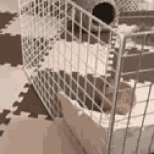 Bunny Breakout GIF - Bunny Breakout Prison Break GIFs