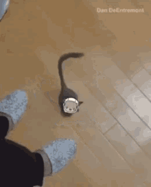 a person is standing on a wooden floor next to a watch that has smoke coming out of it ..