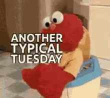 Tuesday Typical Tuesday GIF - Tuesday Typical Tuesday Another Tuesday GIFs