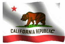 flag california