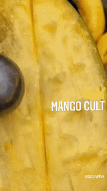 Mango Cult GIF