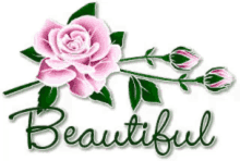 Beautiful Beauty GIF - Beautiful Beauty Flower GIFs