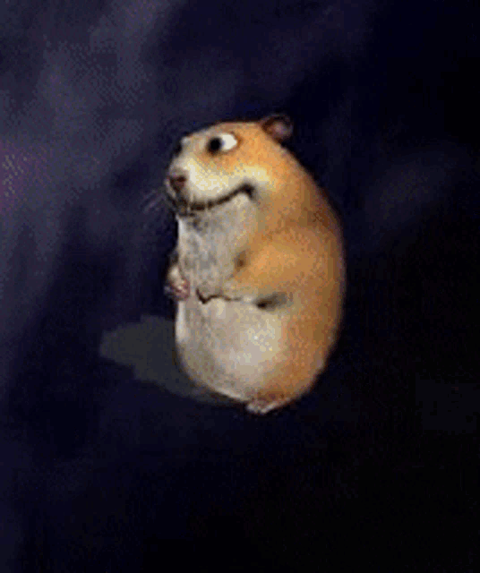 Zajebisty Chomik Chomikbox GIF - Zajebisty Chomik Chomikbox Chomikuj GIFs