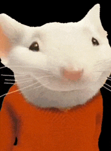 a close up of a white mouse wearing a orange shirt