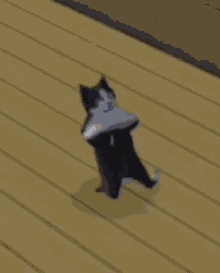 Cat Dancing Gif Animated Cat Dancing GIF