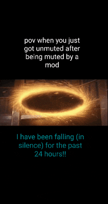 a meme about being muted by a mod with a picture of a man in a portal