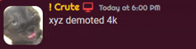 a picture of a dog with the words crute today at 6:00 pm and xyz demoted 4k below it
