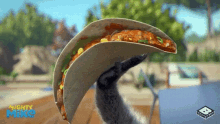 mighty taco