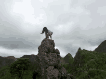 Top Of The World Hike GIF - Top Of The World Hike Milo GIFs