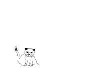 Cat Bounce GIF - Cat Bounce Jump GIFs