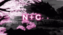 a pink sign that says n + c in front of a cherry blossom tree .