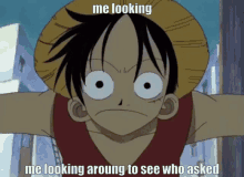 Who Asked Luffy GIF - Who Asked Luffy One Piece GIFs