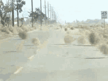 Desert Tumbleweeds GIF - Desert Tumbleweeds Road GIFs