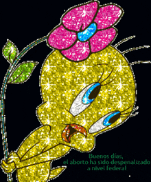 a tweety bird with a flower on its head says buenos dias el aborto ha sido despenalizado a nivel federal