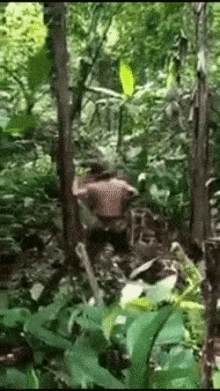 Tree Puncher GIF - Tree Puncher GIFs