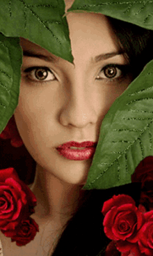 Hello There Blink GIF - Hello There Blink Red Roses GIFs