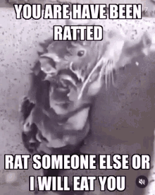 rat shower ratted you have been ratted someone