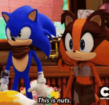 sonic sonic the hedgehog this is nuts nuts crazy