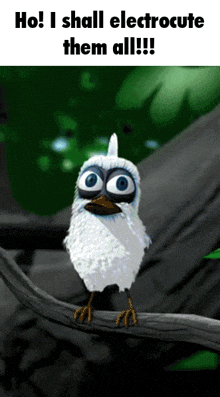 a picture of a bird with the words ho i shall electrocute them all on it