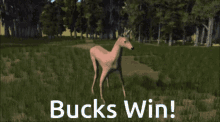 Bucks Win Milwaukee Bucks GIF - Bucks Win Milwaukee Bucks Bucks GIFs