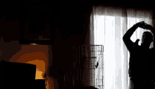a man is standing in front of a window holding a bird in his hand .