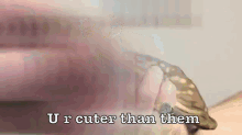 Cuter GIF - Youre Cuter Than Them Animals Pets GIFs