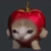 Apple Cat GIF