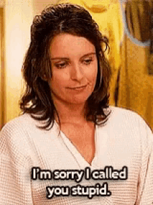 Im Sorry I Called You Stupid Tina Fey GIF - Im Sorry I Called You Stupid Tina Fey GIFs