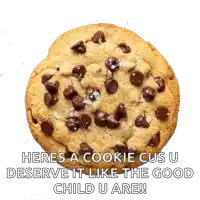 a chocolate chip cookie with the words heres a cookie cus u deserve it like the good child u are written below it