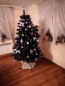 a black christmas tree in a living room with blue and silver decorations