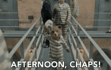 Afternoon Chaps Good Afternoon GIF - Afternoon Chaps Good Afternoon Hats Off GIFs
