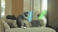 Lightsaber Cat Lightsaber GIF - Lightsaber Cat Lightsaber GIFs