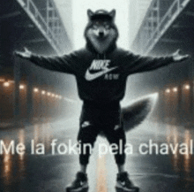 a person dressed as a dog wearing a nike hoodie and pants .